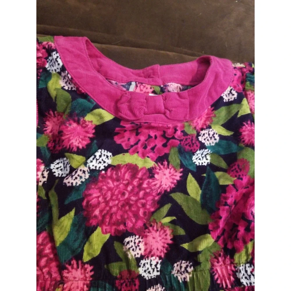 Gymboree plum pony floral dress 5t